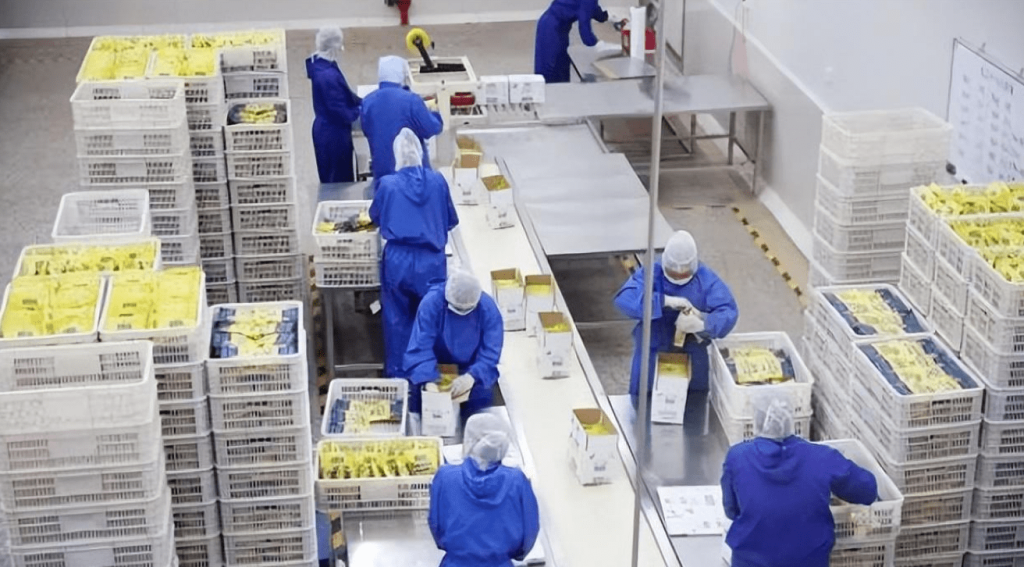 自动化工厂后端货物管理不再头疼，斯科的RFID技术方案有应对（images 2）