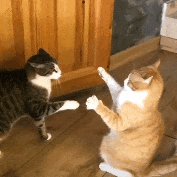 2025热点King：RFID谁敢来硬碰硬？（images 5）