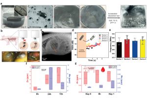 MIT團隊研發可生物降解RFID膠囊，用于記錄真實用藥...